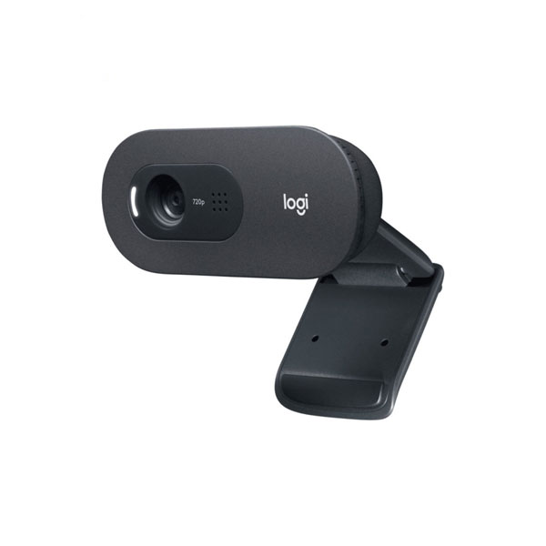 وب کم لاجیتک مدل LOGITECH C505E HD - Image 2
