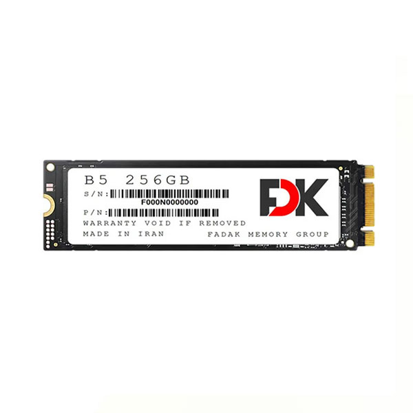 اس اس دی اف دی کی مدل FDK M.2 B5 256GB